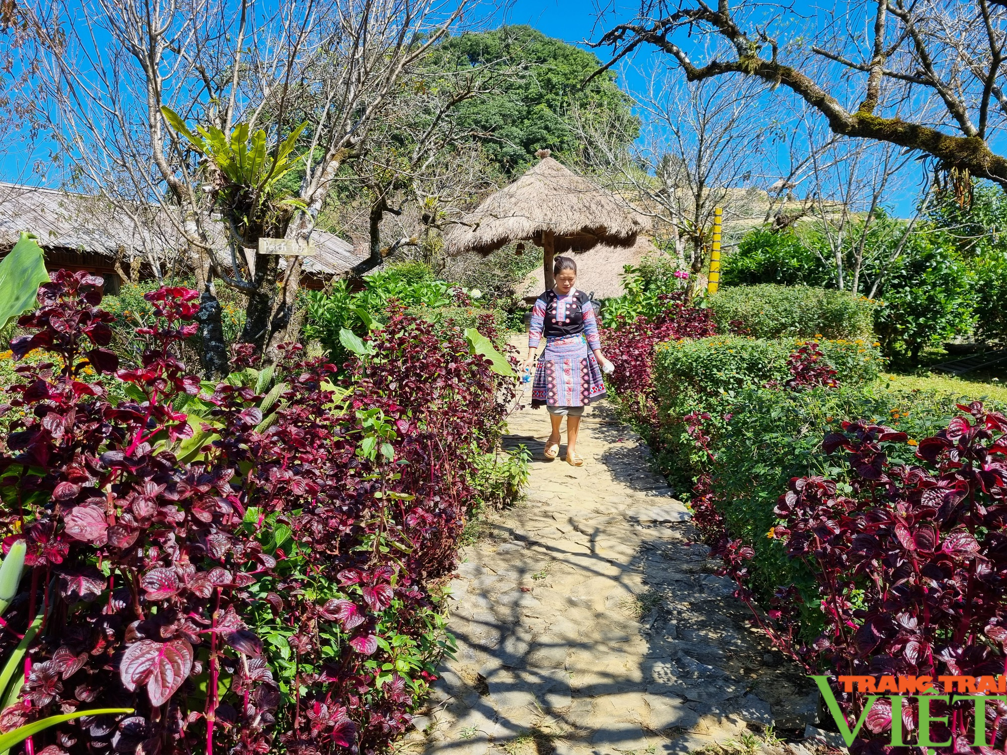 Hòa Bình: Nông dân tăng cường liên kết, cùng nhau làm homestay - Ảnh 2.