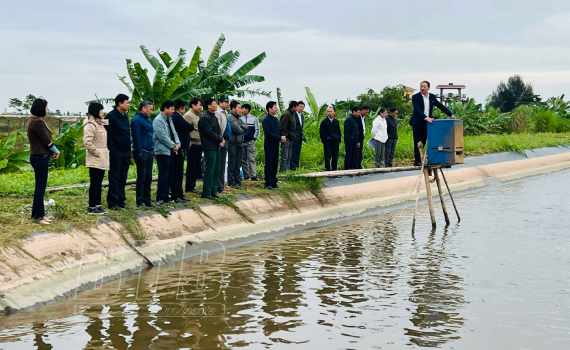 Nuôi tôm thẻ trong ao bán nổi ở Thái Bình, cứ 1ha nông dân lãi 350 triệu/vụ - Ảnh 1.
