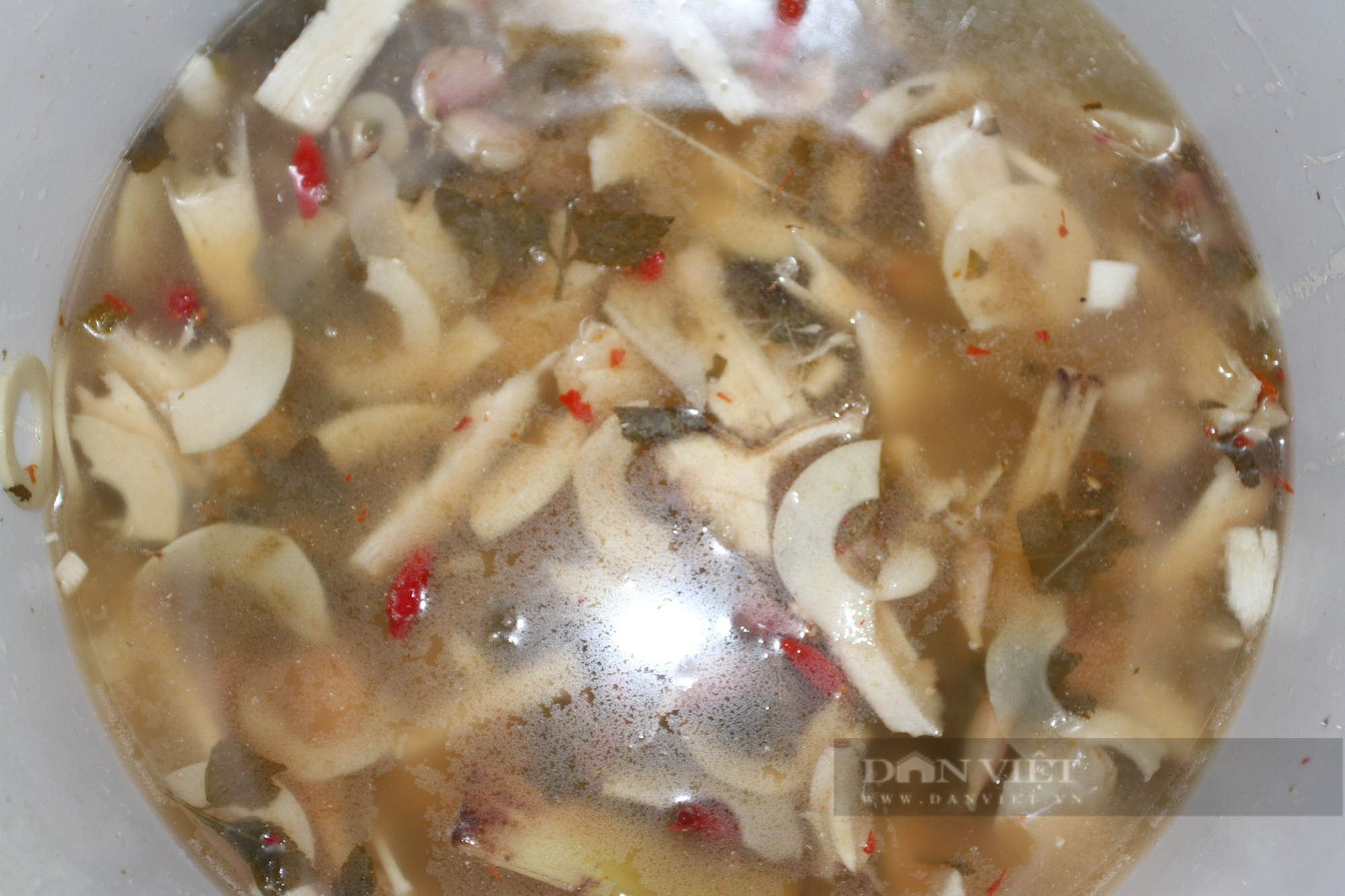 Chị nông dân Thái Nguyên làm ra loại chế phẩm sinh học phun cho cây chè, cây nào cũng xanh mướt, không lo sâu bệnh - Ảnh 4.