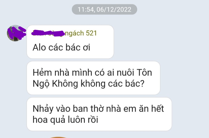 Hà Nội: Tá hoả phát hiện &quot;tôn hành giả&quot; ăn hoa quả trên bàn thờ - Ảnh 2.