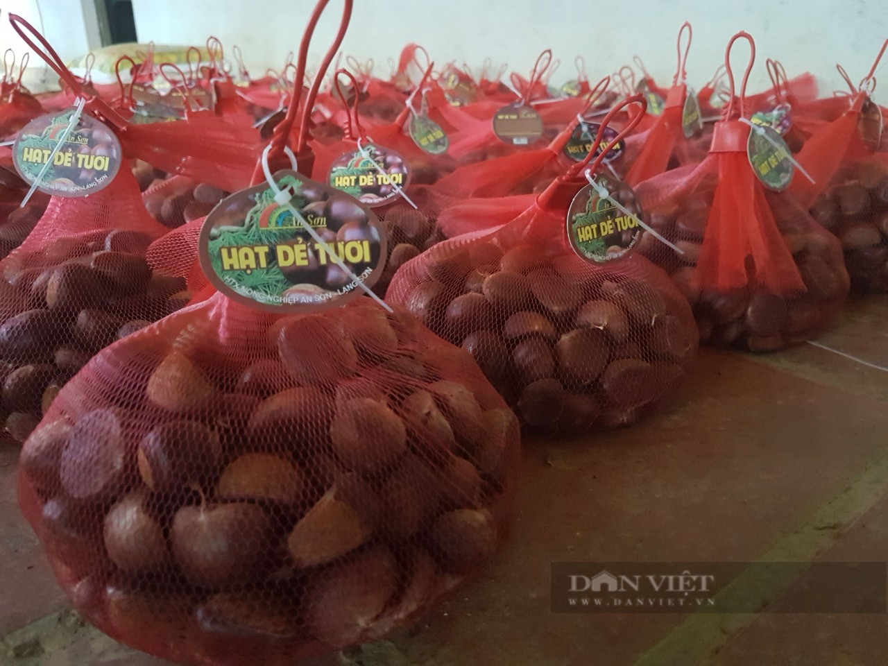 Anh nông dân trồng hạt dẻ Ocop và ước mơ du lịch trải nghiệm giữ núi rừng xứ Lạng  - Ảnh 3.