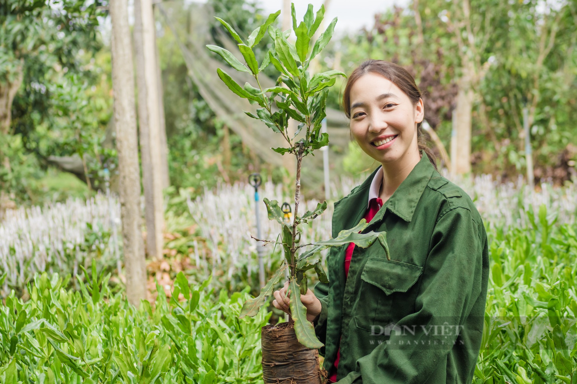 Nữ doanh nhân 9x và hành trình đưa mắc ca Việt Nam ra thị trường quốc tế - Ảnh 1.