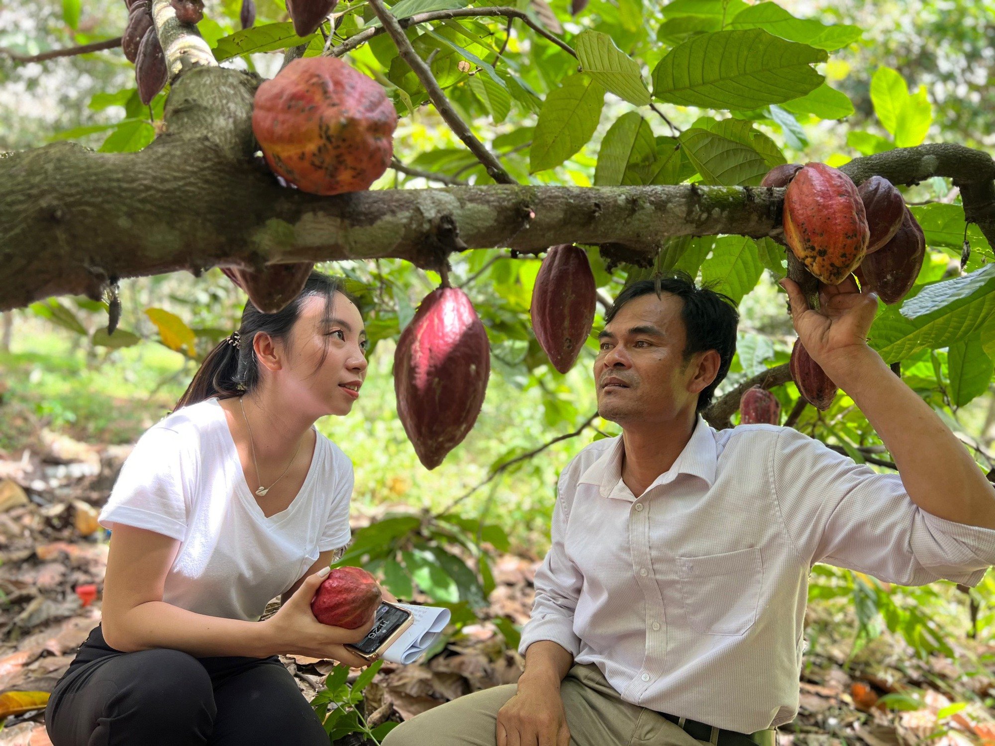 Huyện Krông Nô (Đắk Nông): Xây dựng sản phẩm OCOP gắn với thị trường tiêu thụ, hướng tới đa dạng sản phẩm - Ảnh 7.