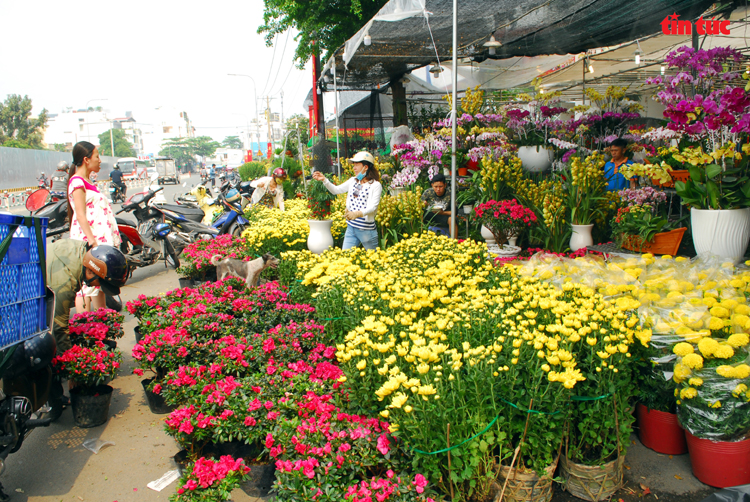 Những người làm đẹp Tết - Ảnh 7.