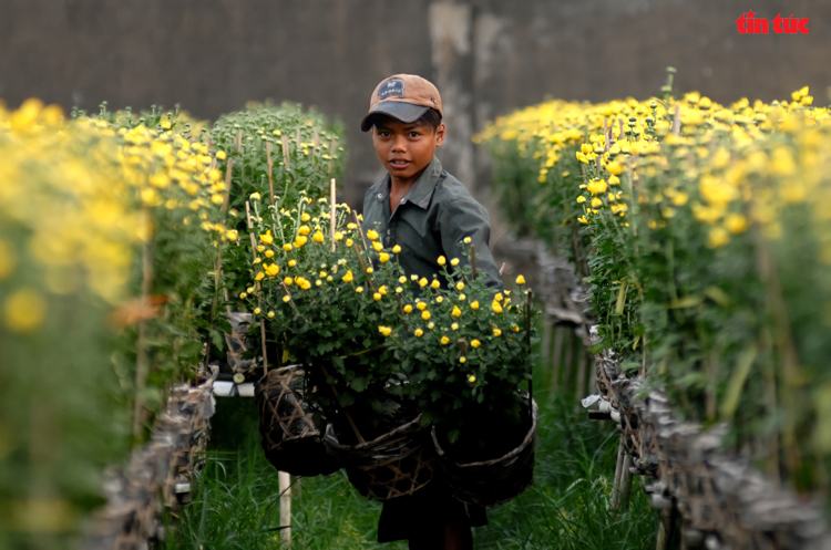 Những người làm đẹp Tết - Ảnh 5.