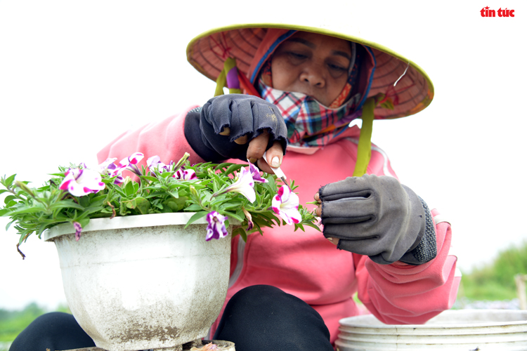 Những người làm đẹp Tết - Ảnh 9.