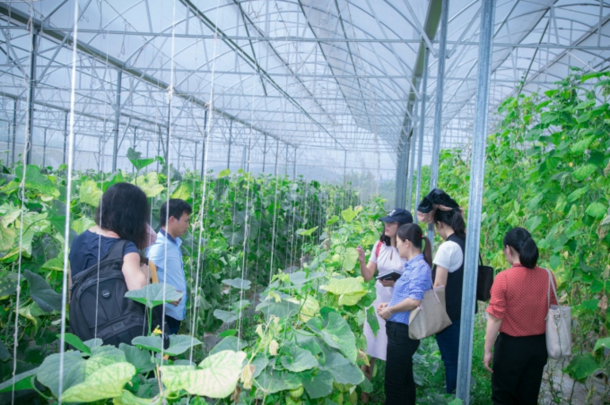 Nông nghiệp Việt Nam phải xóa “3 mù” - Ảnh 3. Nông nghiệp Việt Nam phải xóa “3 mù” - Ảnh 3.