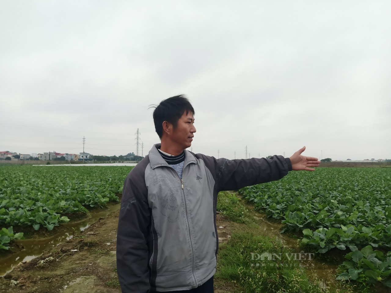 Hải Dương: Chuyển tư duy từ sản xuất sang kinh tế nông nghiệp, anh nông dân thu nửa tỷ mỗi năm - Ảnh 4.