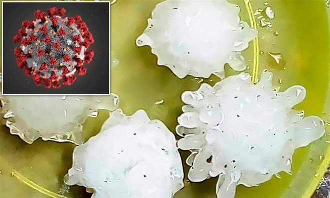 Mưa đá là gì, tại sao và bí ẩn của hiện tượng mưa đá hình Corona? - Ảnh 3.