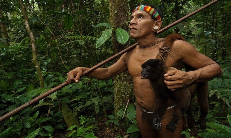 Bộ tộc sát khỉ chân 6 ngón, đu cây giỏi như Tarzan - Ảnh 6.
