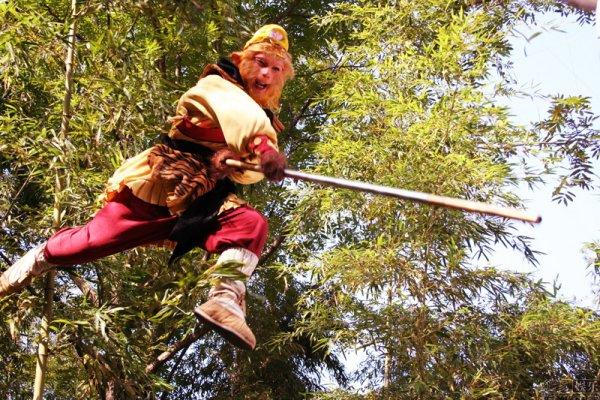 Tây du ký: Sự thật về tấm da hổ trên người Tôn Ngộ Không ít người biết - Ảnh 3.