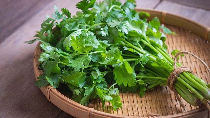 Những lợi ích của rau mùi trong bảo vệ sức khỏe và ngăn ngừa ung thư - Ảnh 1.