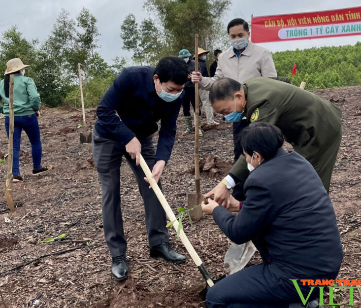 Hội Nông dân Hoà Bình: Trồng 300 cây bằng lăng, 2.000 cây keo phát triển rừng - Ảnh 2.