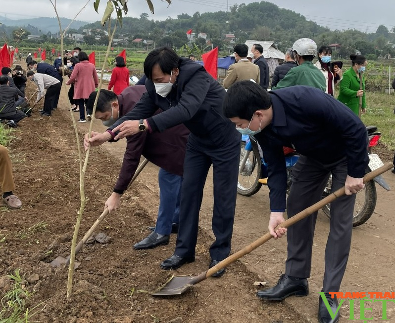 Hội Nông dân Hoà Bình: Trồng 300 cây bằng lăng, 2.000 cây keo phát triển rừng - Ảnh 1.