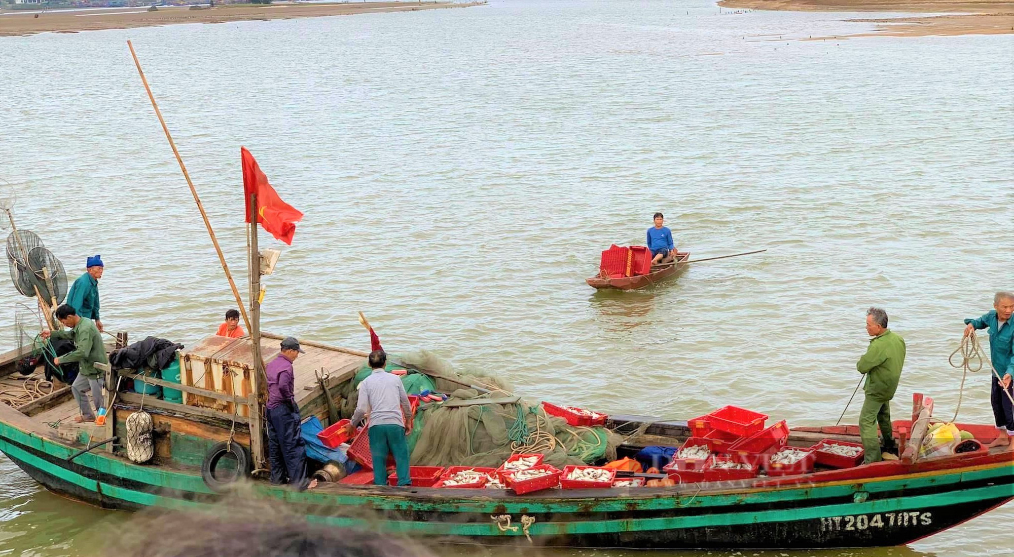 “Lão ngư” đầu năm bật mí cách săn cá vàng dương, thu về hàng tỷ đồng mỗi năm - Ảnh 8.