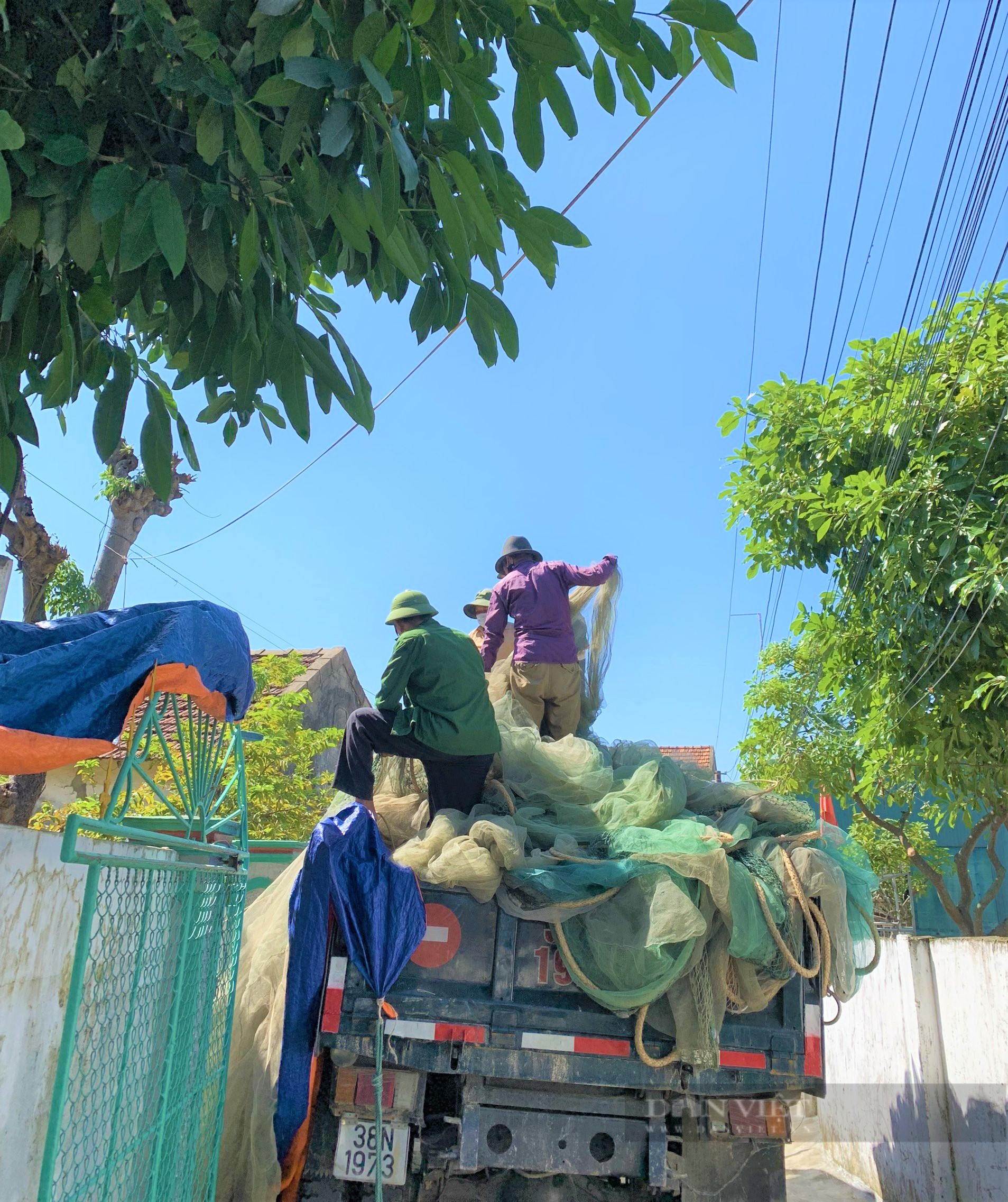 “Lão ngư” đầu năm bật mí cách săn cá vàng dương, thu về hàng tỷ đồng mỗi năm - Ảnh 4.