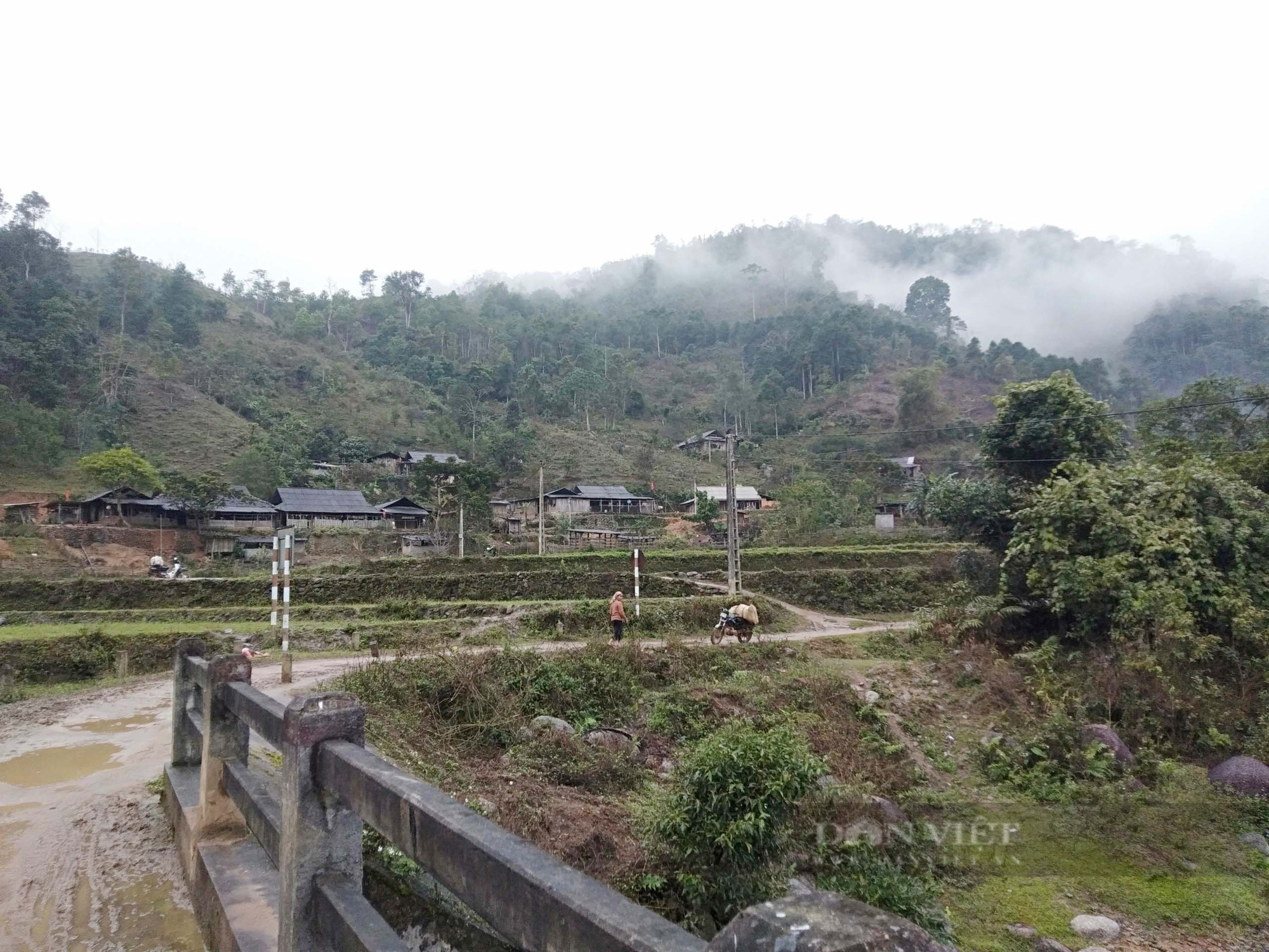 Bắc Kạn: Sau Tết chán thịt, người dân săn lùng thứ rau dại ven suối ngon, độc, lạ - Ảnh 1.