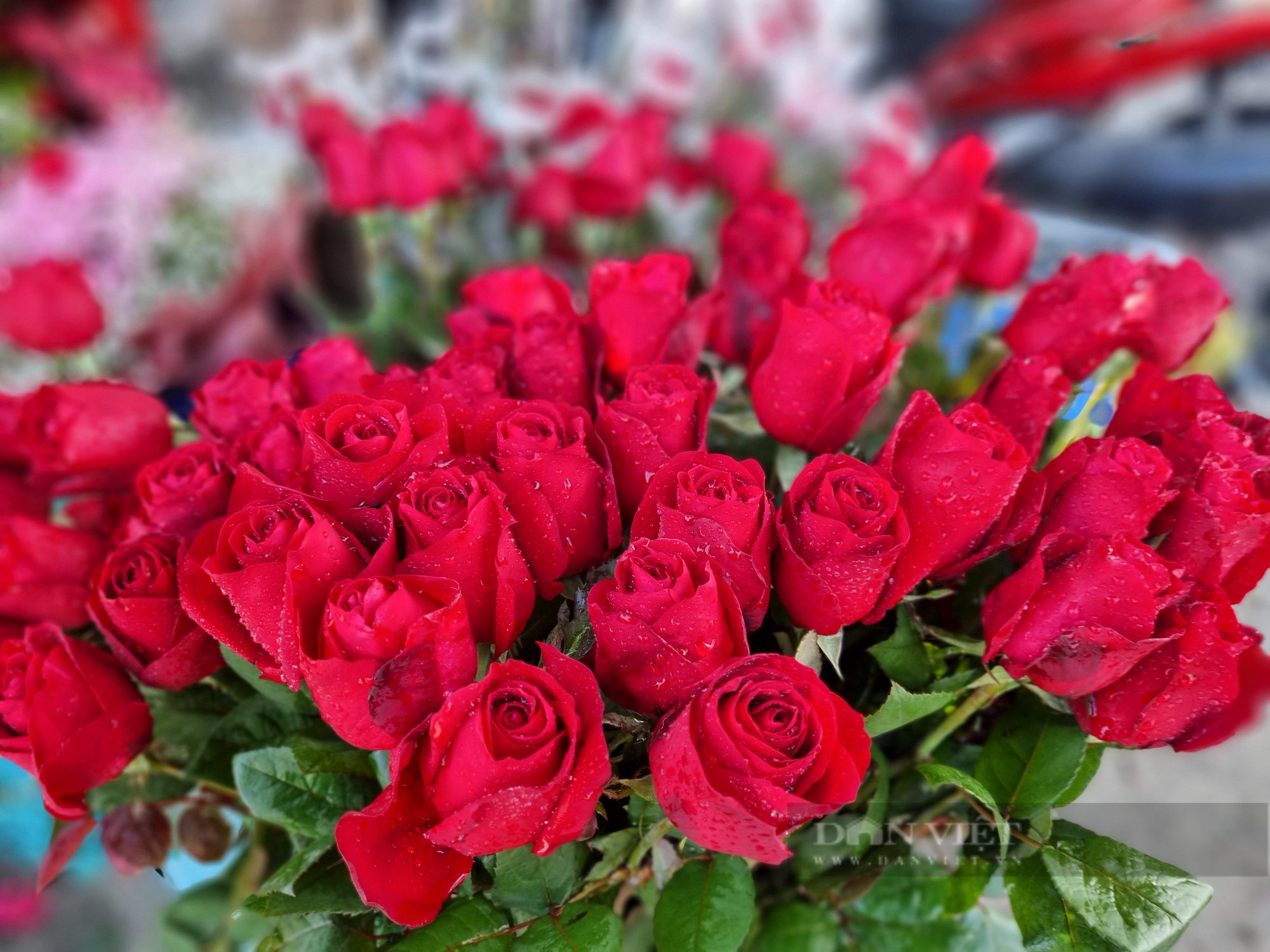 Nam giới xếp hàng dài chờ mua socola dịp Valentine - Ảnh 12.