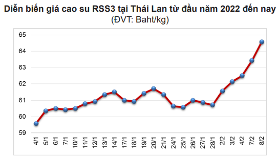 Giá cao su tại các sàn chủ chốt tăng bất chấp dự báo 'nóng' mới bất ngờ về sản lượng  - Ảnh 3.