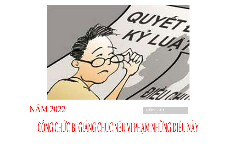 Năm 2022, công chức bị giáng chức nếu vi phạm những điều này - Ảnh 2.