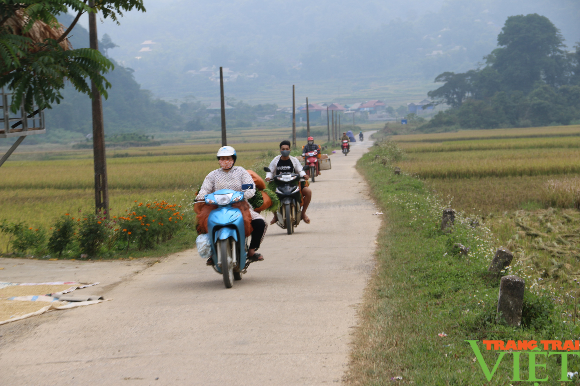 Nông thôn mới xã Quyết Chiến ngày càng thay da đổi thịt - Ảnh 3. Nông thôn mới xã Quyết Chiến ngày càng thay da đổi thịt - Ảnh 3.