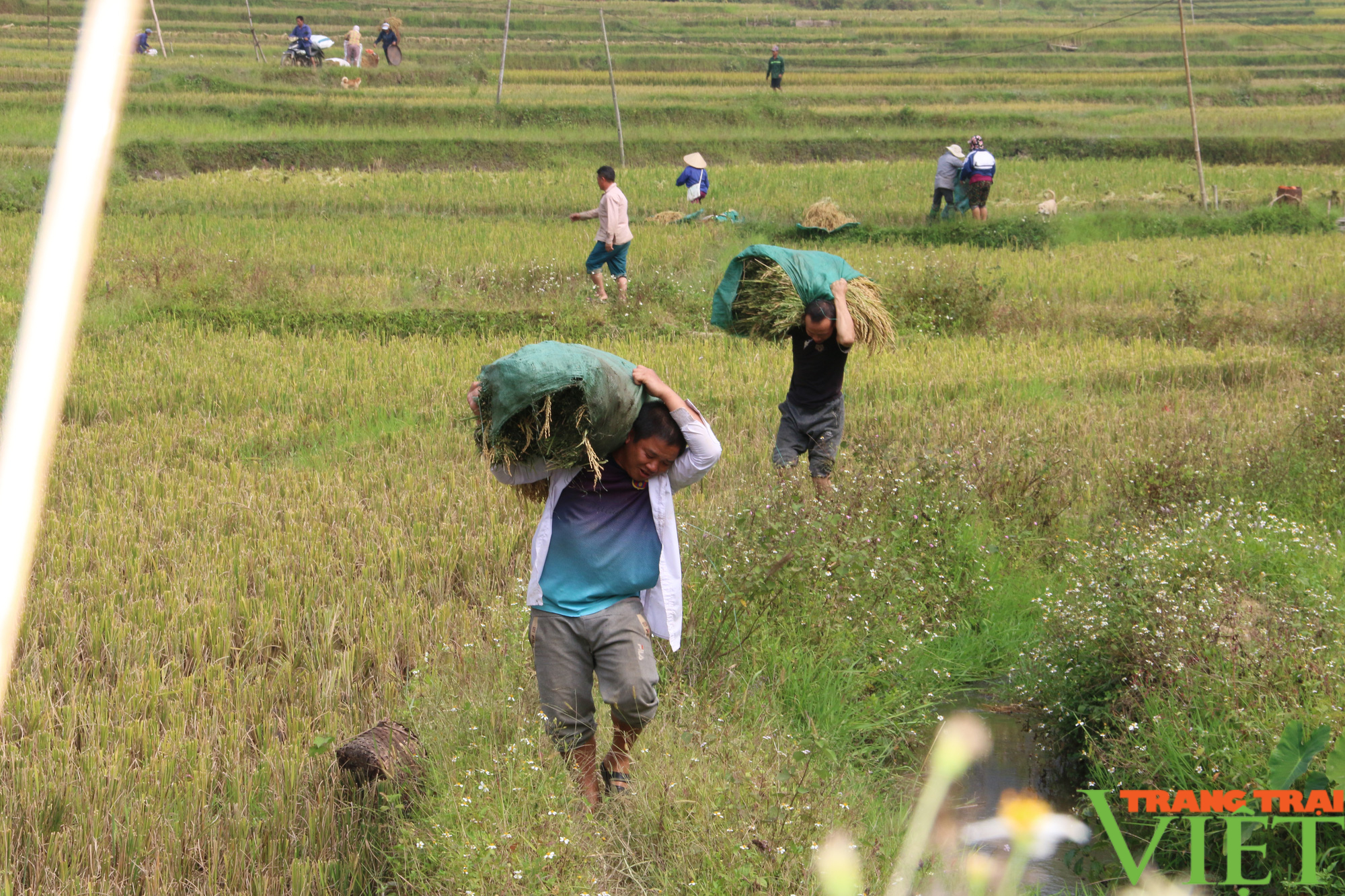 Nông thôn mới xã Quyết Chiến ngày càng thay da đổi thịt - Ảnh 4. Nông thôn mới xã Quyết Chiến ngày càng thay da đổi thịt - Ảnh 4.