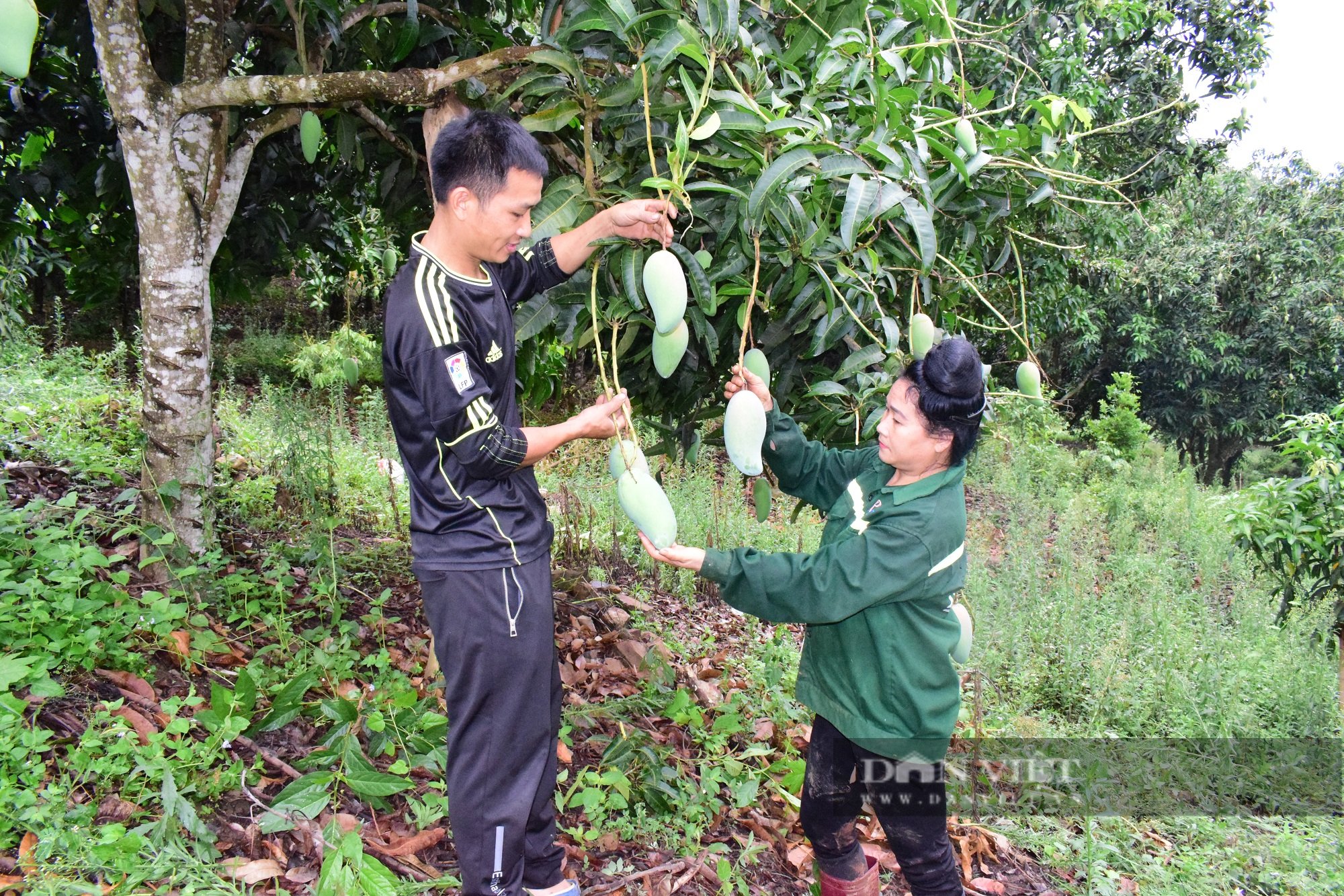  Những trái ngọt ở xã vùng cao Tây Bắc - Ảnh 2.