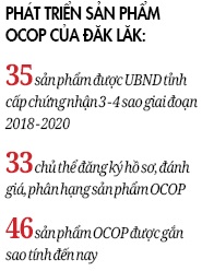 Sản phẩm OCOP Đăk Lăk vươn rộng ra thị trường - Ảnh 2.
