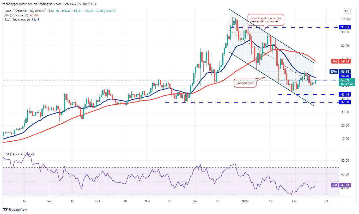 Giá Bitcoin hôm nay 15/2: Bitcoin giao dịch dưới ngưỡng 43.000 USD, thị trường ít biến động - Ảnh 4.