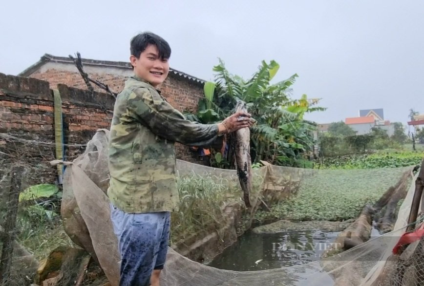 Thanh Hóa: Sau Tết người dân tất bật tát ao, dọn bùn để thả cá - Ảnh 2.