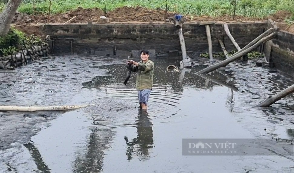 Thanh Hóa: Sau Tết người dân tất bật tát ao, dọn bùn để thả cá - Ảnh 9.