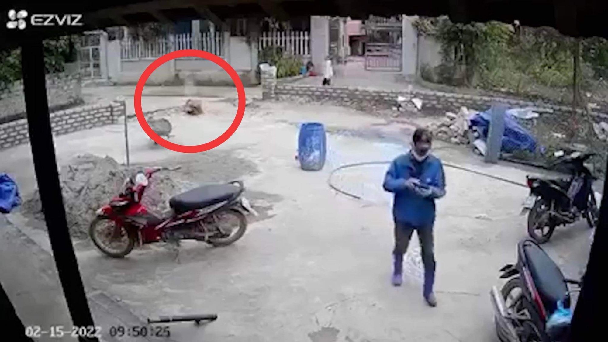 Nổ súng bắn hàng xóm rồi tự sát tại Thái Nguyên: Có phải bồi thường cho gia đình nạn nhân không? - Ảnh 1.