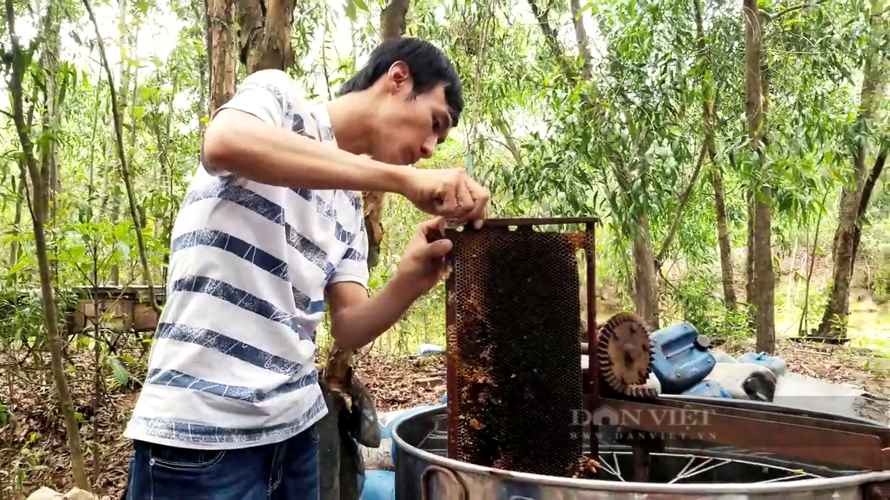 “Chất lỏng ngọt ngào” dính “đòn phòng vệ” của Mỹ, nước 100 triệu dân nan giải với 60.000 tấn mật ong - Ảnh 2.