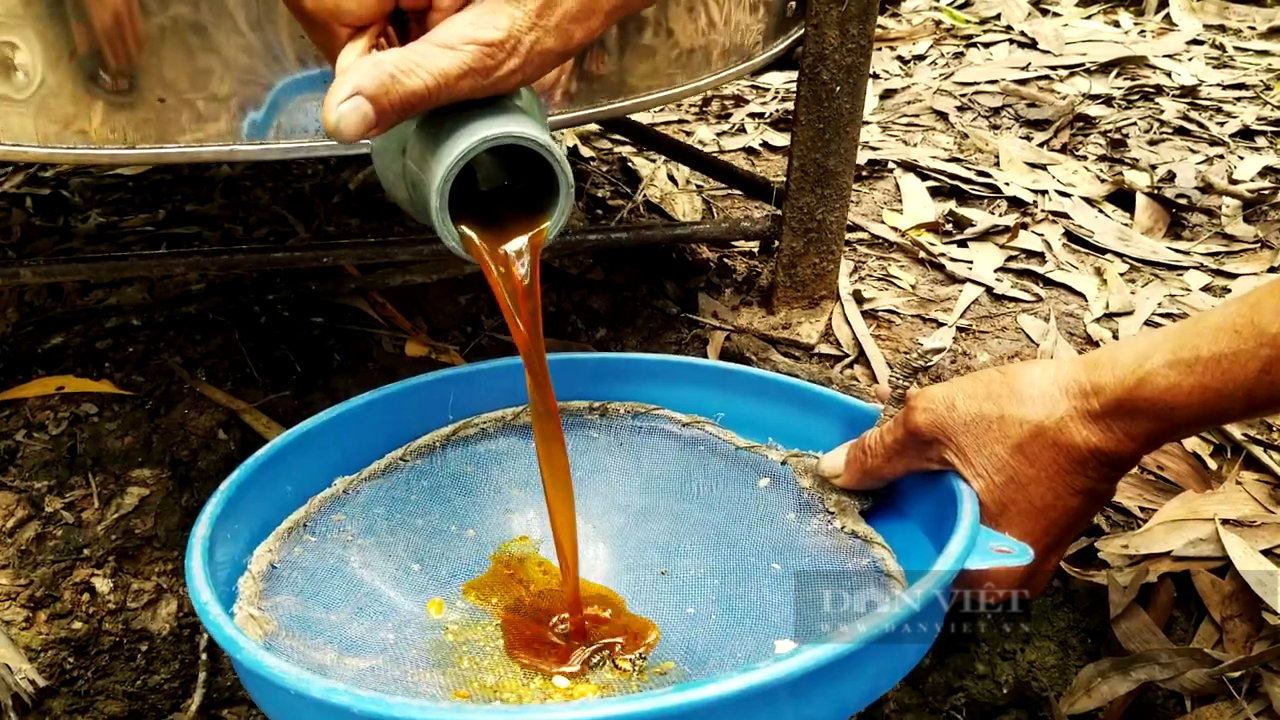 “Chất lỏng ngọt ngào” dính “đòn phòng vệ” của Mỹ, nước 100 triệu dân nan giải với 60.000 tấn mật ong - Ảnh 5.