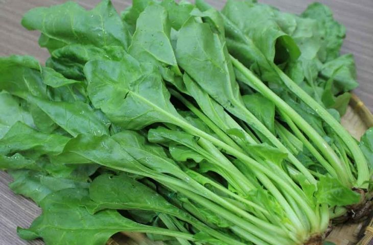Loại rau bán đầy chợ mà nhắc đến tên là bầu trời tuổi thơ ùa về lại có công dụng như &quot;thần dược&quot; - Ảnh 3.