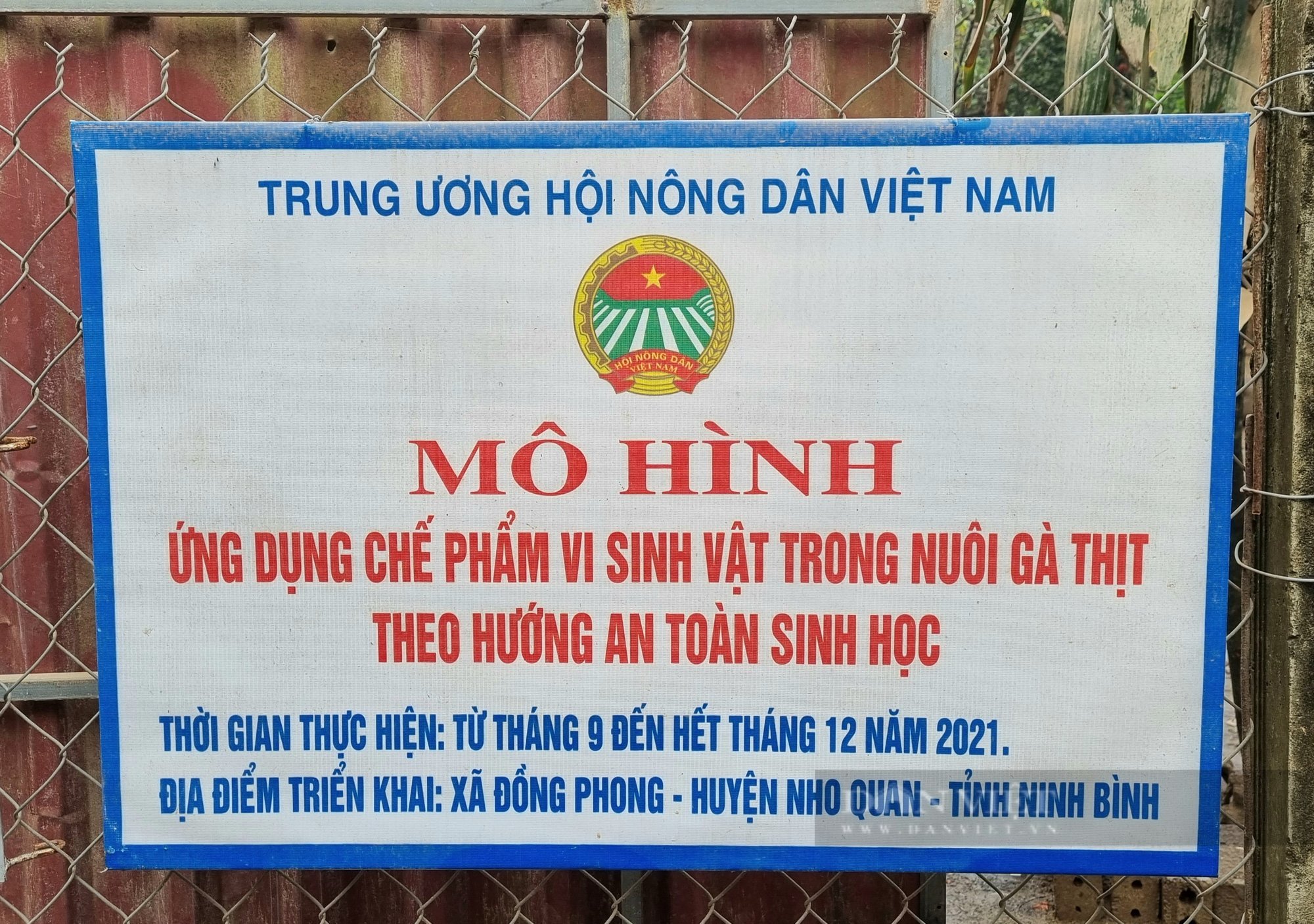 Ninh Bình: Nuôi 1.000 con gà Đông Tảo lai lãi 20 triệu đồng/lứa - Ảnh 3.
