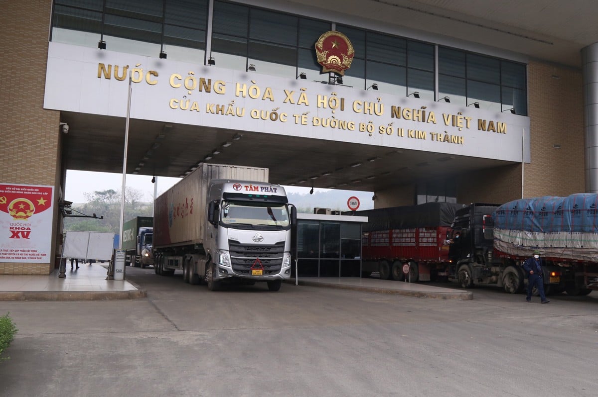 Chỉ một động thái của Trung Quốc, giá thanh long, giá sầu riêng của Việt Nam đã tăng chóng mặt - Ảnh 1.