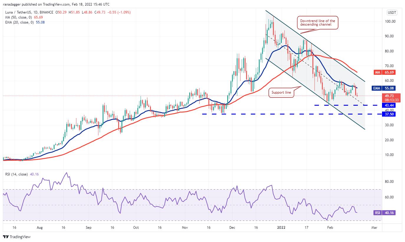 Giá Bitcoin hôm nay 19/2: Bitcoin giao dịch quanh ngưỡng 40.000 USD - Ảnh 4.