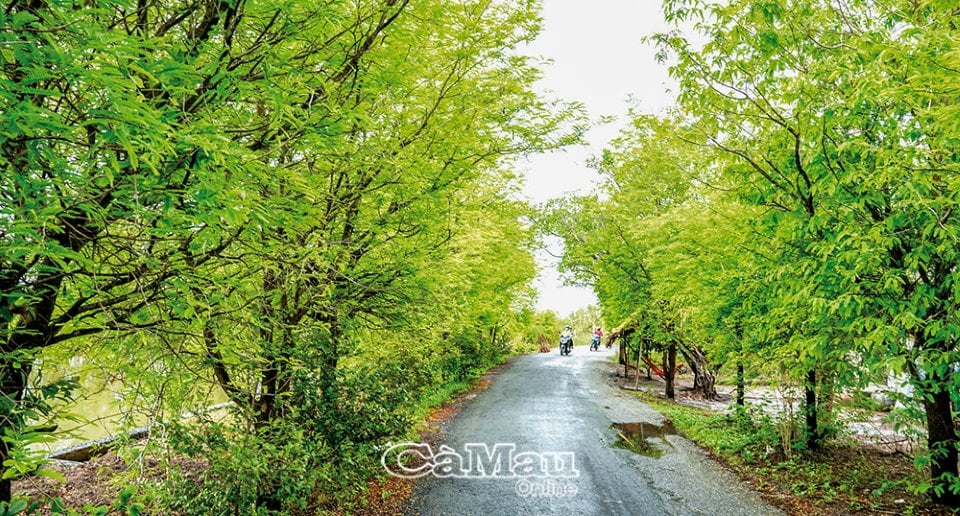 Vùng đất này bắt cá chốt dưới sông đem nấu lá me non, món của nhà nghèo xưa, nay nói tới nhà giàu cũng thèm - Ảnh 1.