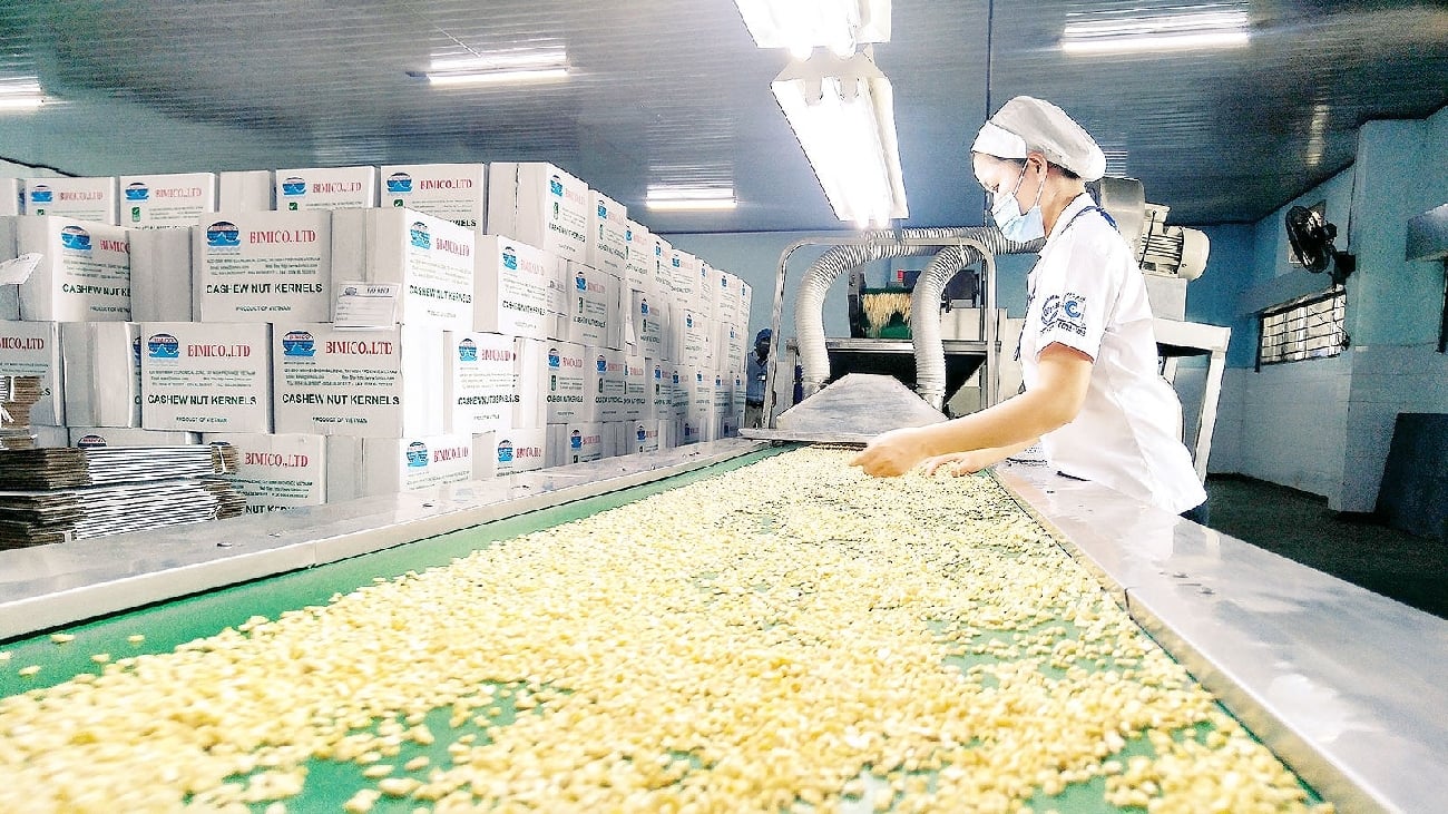 Nga bị loại khỏi hệ thống thanh toán SWIFT, doanh nghiệp nông nghiệp như ngồi trên lửa - Ảnh 1.