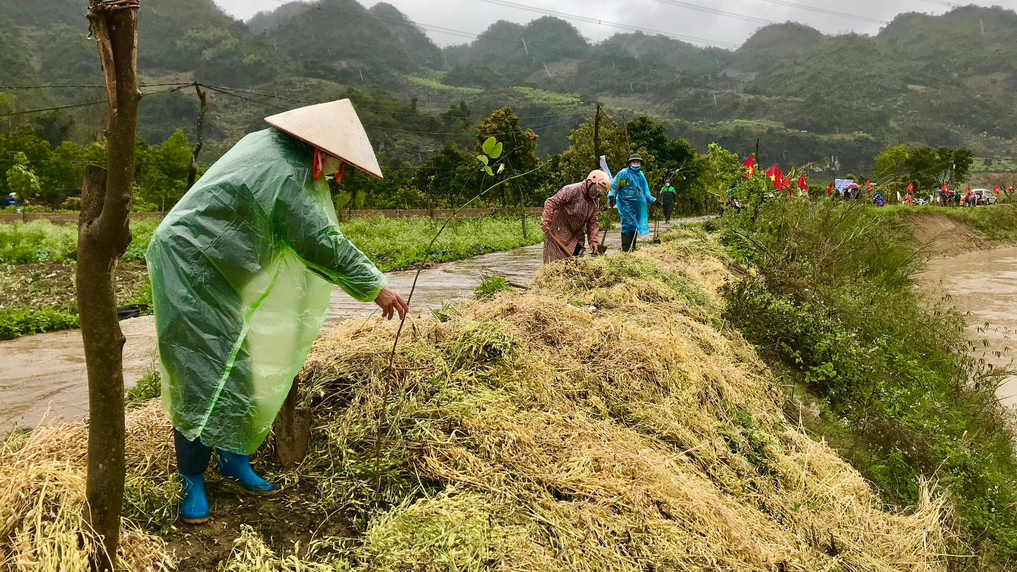 Hội Nông dân tỉnh Sơn La tổ chức lễ phát động hưởng ứng chương trình trồng 1 tỷ cây xanh  - Ảnh 4.