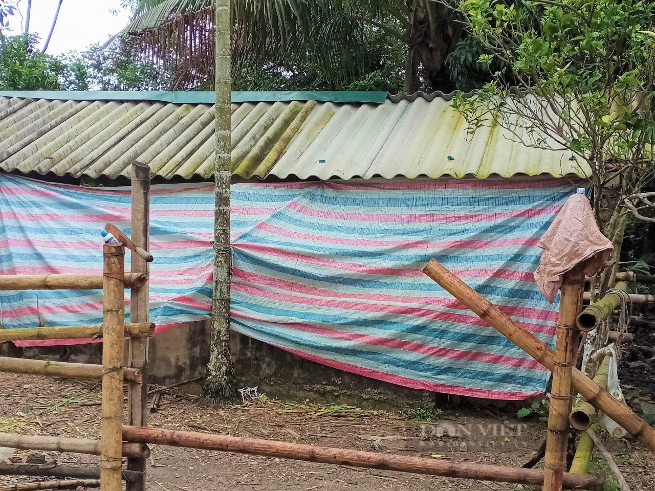 Nông dân Nghệ An “mặc áo, đắp chăn” cho đàn đàn gia súc - Ảnh 2.