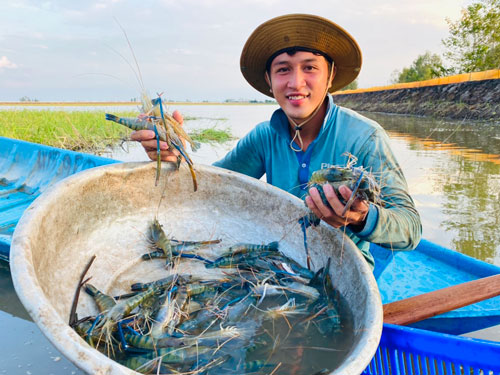 Giải bài toán đầu ra cho nông sản - Ảnh 2.