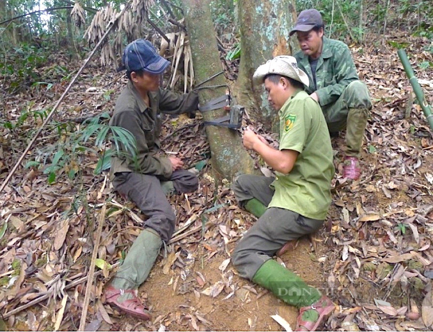 Nghệ An: Thế giới động vật hoang dã qua công nghệ bẫy ảnh tại Vườn Quốc gia Pù Mát   - Ảnh 1.