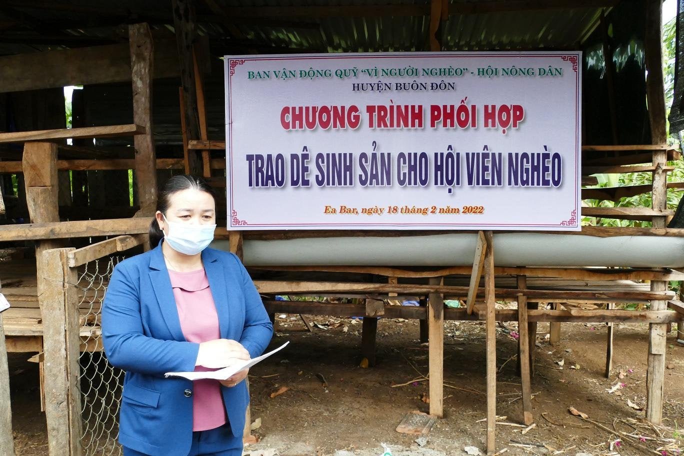 Hội Nông dân Đắk Lắk: Trao dê sinh sản cho hội viên có hoàn cảnh khó khăn - Ảnh 1.