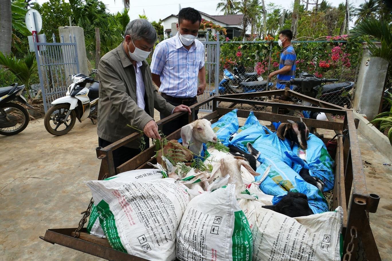 Hội Nông dân Đắk Lắk: Trao dê sinh sản cho hội viên có hoàn cảnh khó khăn - Ảnh 2.