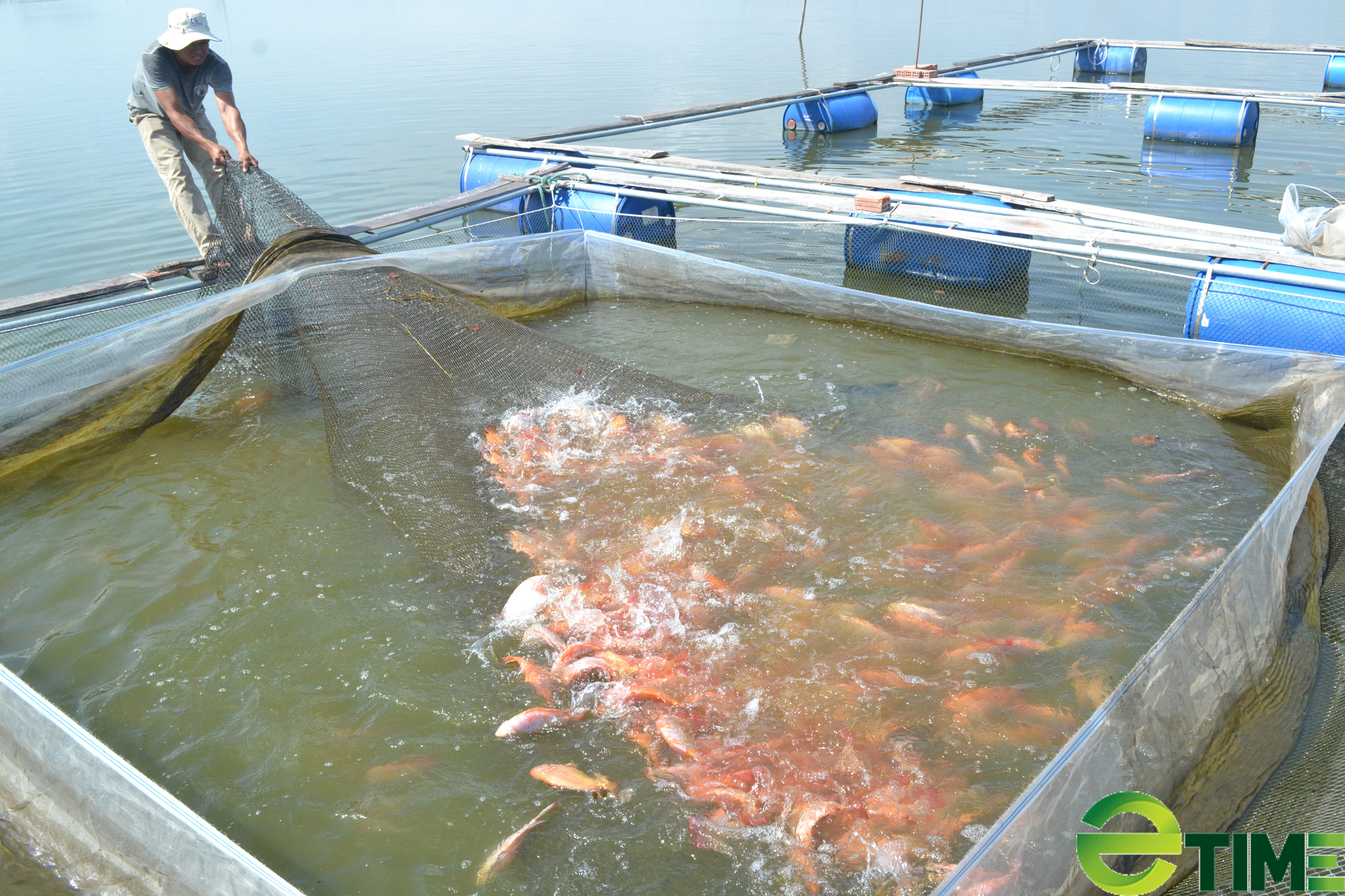 Quảng Nam đề nghị phát triển sản xuất, đa dạng hoá sinh kế cho người dân lưu vực các hồ thuỷ điện - Ảnh 2.