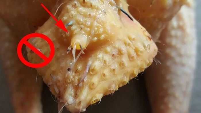 4 bộ phận của gà, vịt, thèm mấy cũng đừng ăn vì không hề tốt cho sức khỏe của bạn - Ảnh 3.