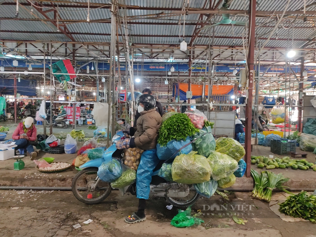 Giá rau tăng cao vút, có nơi nông dân thu lãi hàng trăm triệu đồng/ha  - Ảnh 2.