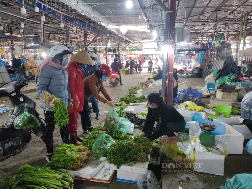 Giá rau tăng cao vút, có nơi nông dân thu lãi hàng trăm triệu đồng/ha  - Ảnh 3.